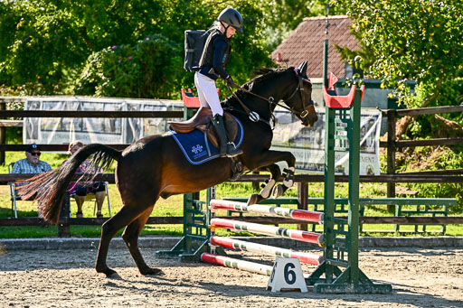 Show Jumping Event Stall Leichle in Schnarup | 17082025 Stil WB So_245 
