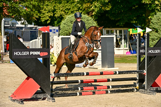 Show Jumping Event Stall Leichle in Schnarup | 17082025 Stil WB So_249 