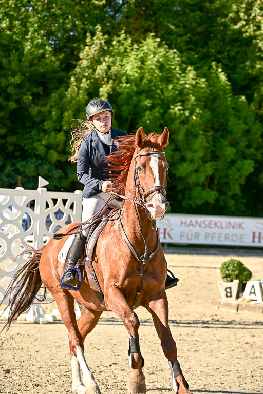 Show Jumping Event Stall Leichle in Schnarup | 17082025 Stil WB So_256 