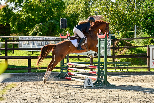 Show Jumping Event Stall Leichle in Schnarup | 17082025 Stil WB So_257 