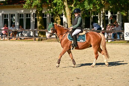 Show Jumping Event Stall Leichle in Schnarup | 17082025 Stil WB So_262 