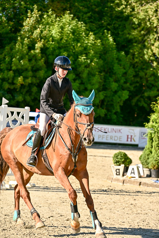 Show Jumping Event Stall Leichle in Schnarup | 17082025 Stil WB So_271 