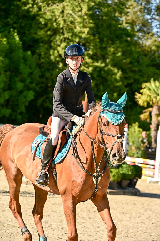 Show Jumping Event Stall Leichle in Schnarup | 17082025 Stil WB So_272 