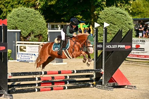Show Jumping Event Stall Leichle in Schnarup | 17082025 Stil WB So_275 