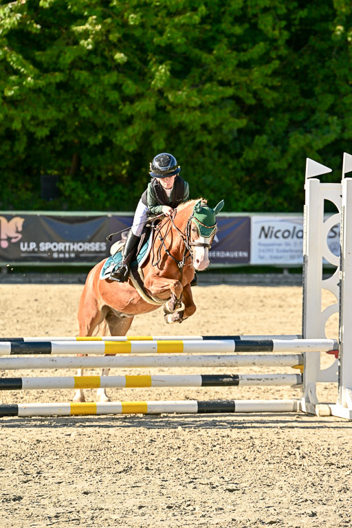 Show Jumping Event Stall Leichle in Schnarup | 17082025 Stil WB So_276 