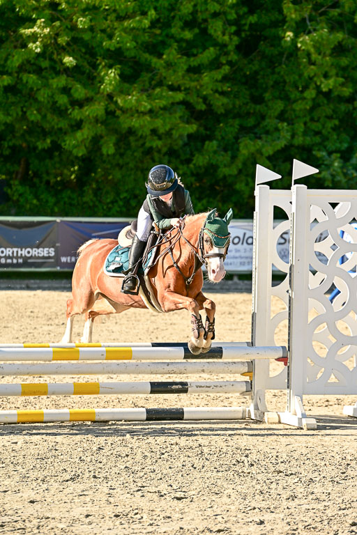 Show Jumping Event Stall Leichle in Schnarup | 17082025 Stil WB So_277 