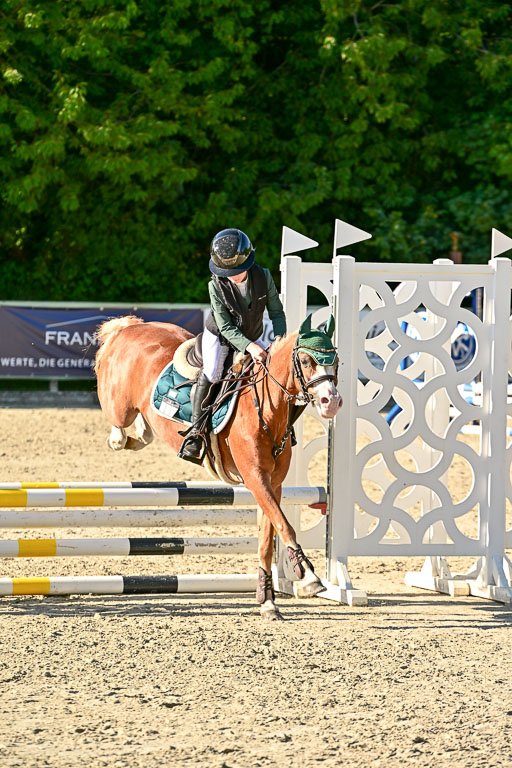 Show Jumping Event Stall Leichle in Schnarup | 17082025 Stil WB So_279 