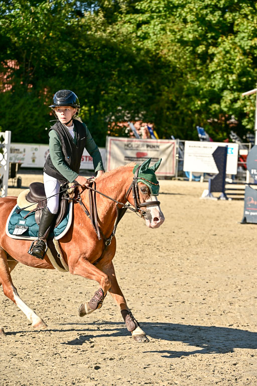 Show Jumping Event Stall Leichle in Schnarup | 17082025 Stil WB So_280 