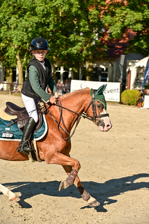 Show Jumping Event Stall Leichle in Schnarup | 17082025 Stil WB So_281 