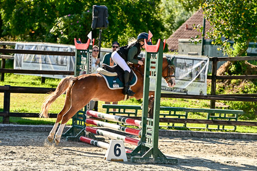 Show Jumping Event Stall Leichle in Schnarup | 17082025 Stil WB So_282 