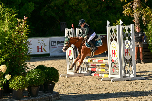 Show Jumping Event Stall Leichle in Schnarup | 17082025 Stil WB So_285 