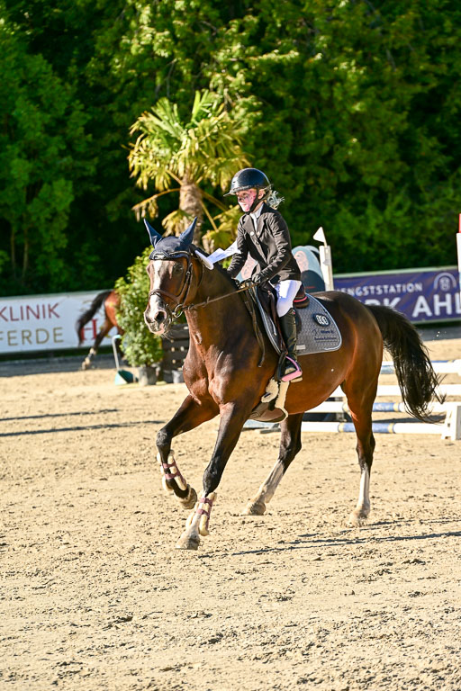 Show Jumping Event Stall Leichle in Schnarup | 17082025 Stil WB So_291 
