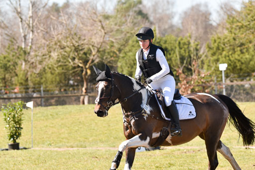  | 03042025 - Stil A_248 