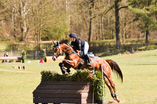  | 03042025 - Stil A_251 