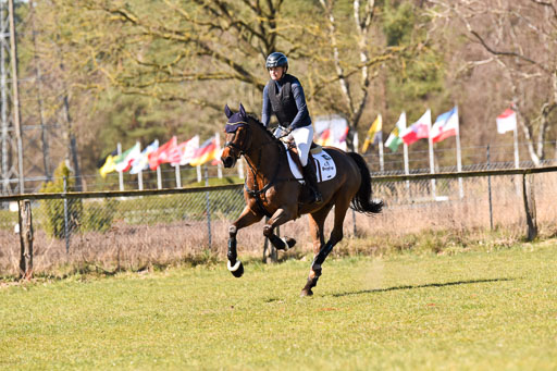  | 03042025 - Stil A_288 