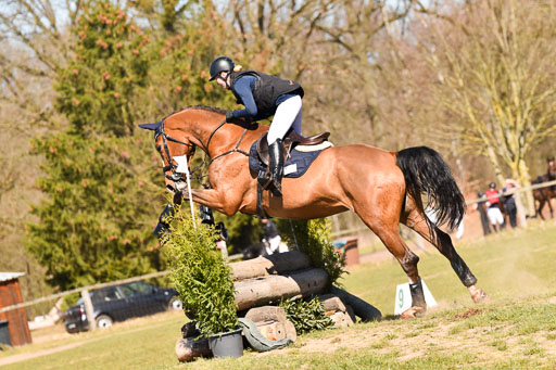  | 03042025 - Stil A_337 