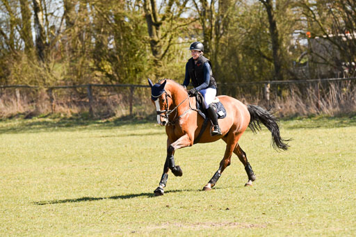  | 03042025 - Stil A_341 