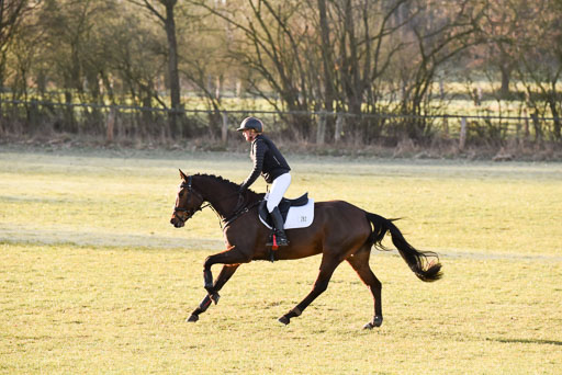  | 03042025  Stilgelände E_002 