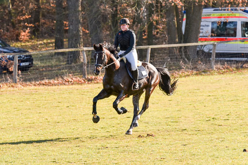  | 03042025  Stilgelände E_132 