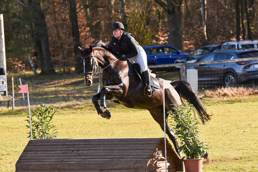  | 03042025  Stilgelände E_133 