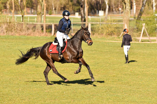  | 03042025  Stilgelände E_156 