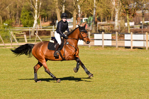  | 03042025  Stilgelände E_164 