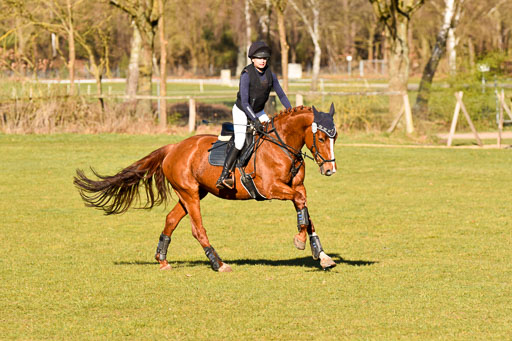  | 03042025  Stilgelände E_170 