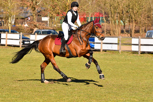  | 03042025  Stilgelände E_208 