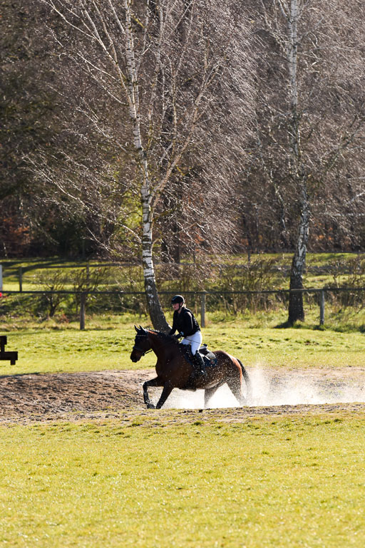  | 03042025  Stilgelände E_217 