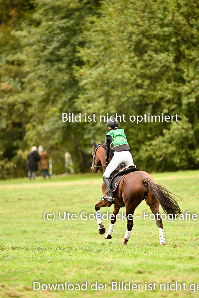 9-12.10.2025 Ströhen | 12102025 XC Intro _035