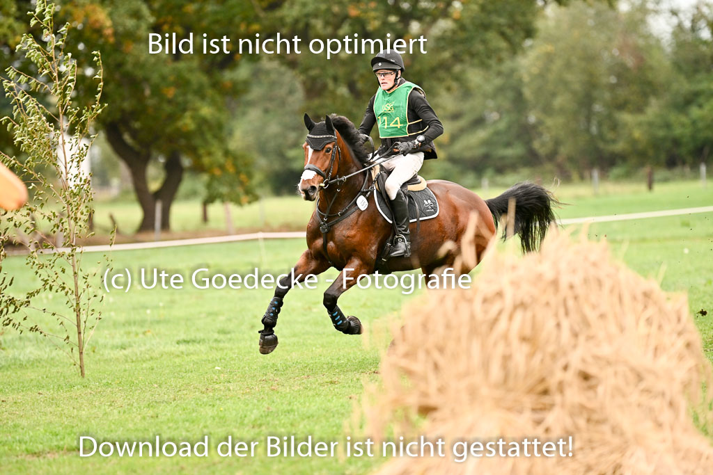 9-12.10.2025 Ströhen | 12102025 XC Intro _319 