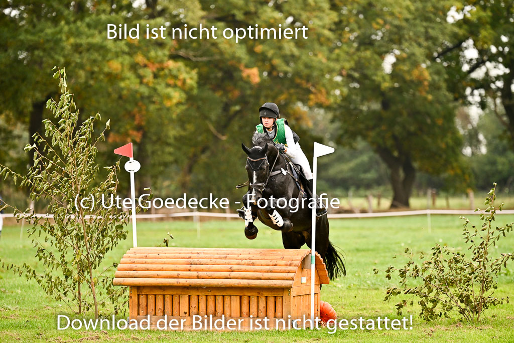 9-12.10.2025 Ströhen | Juno Emilia Wilke - Foxcon _13 