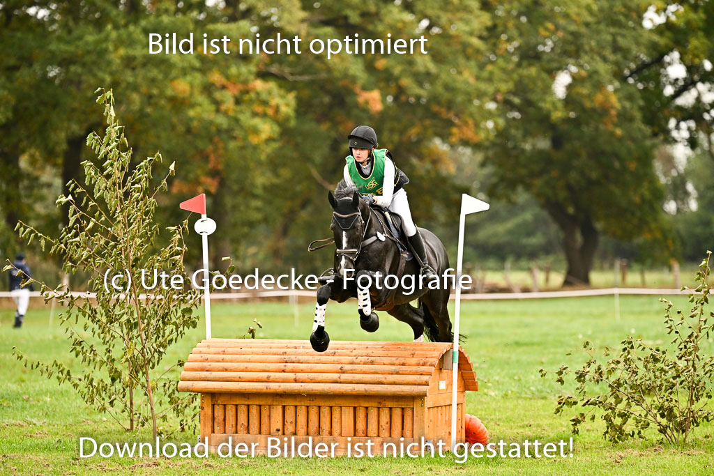 9-12.10.2025 Ströhen | Juno Emilia Wilke - Foxcon _14 