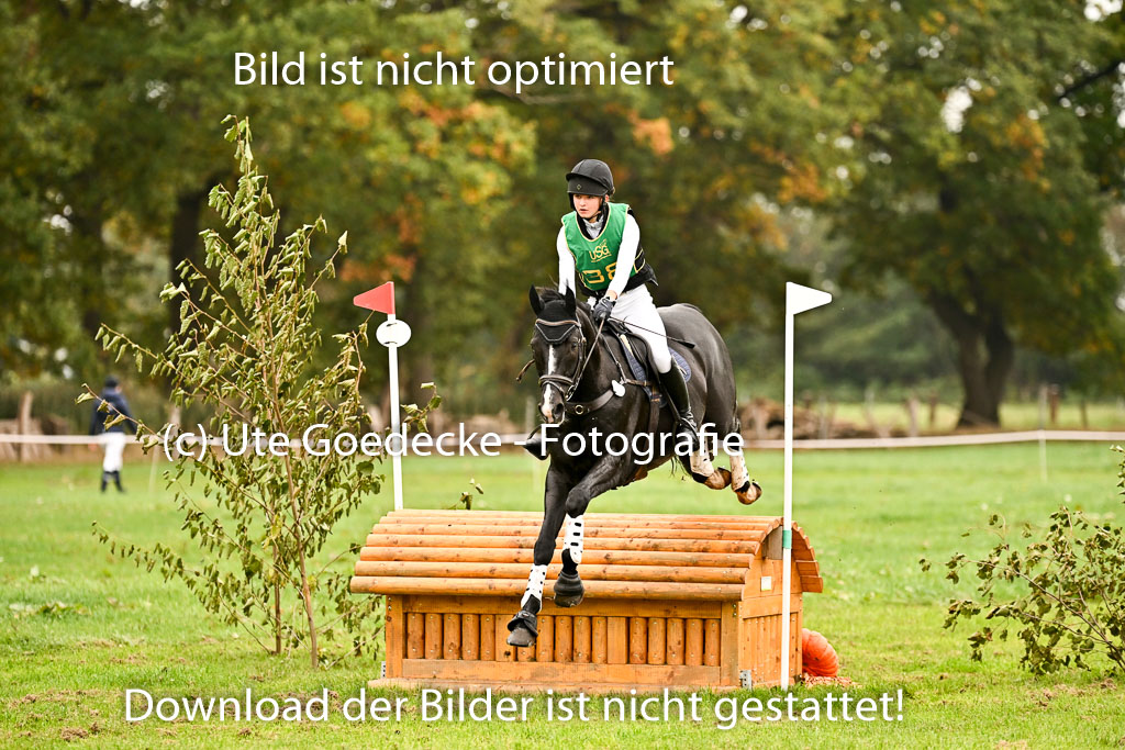 9-12.10.2025 Ströhen | Juno Emilia Wilke - Foxcon _15 