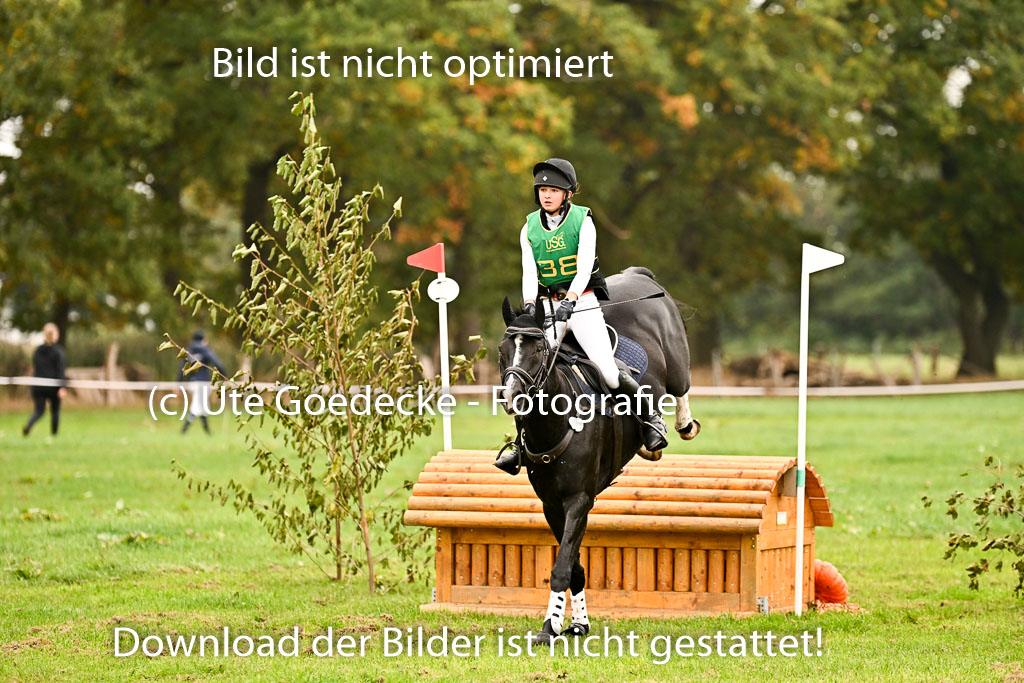 9-12.10.2025 Ströhen | Juno Emilia Wilke - Foxcon _16 