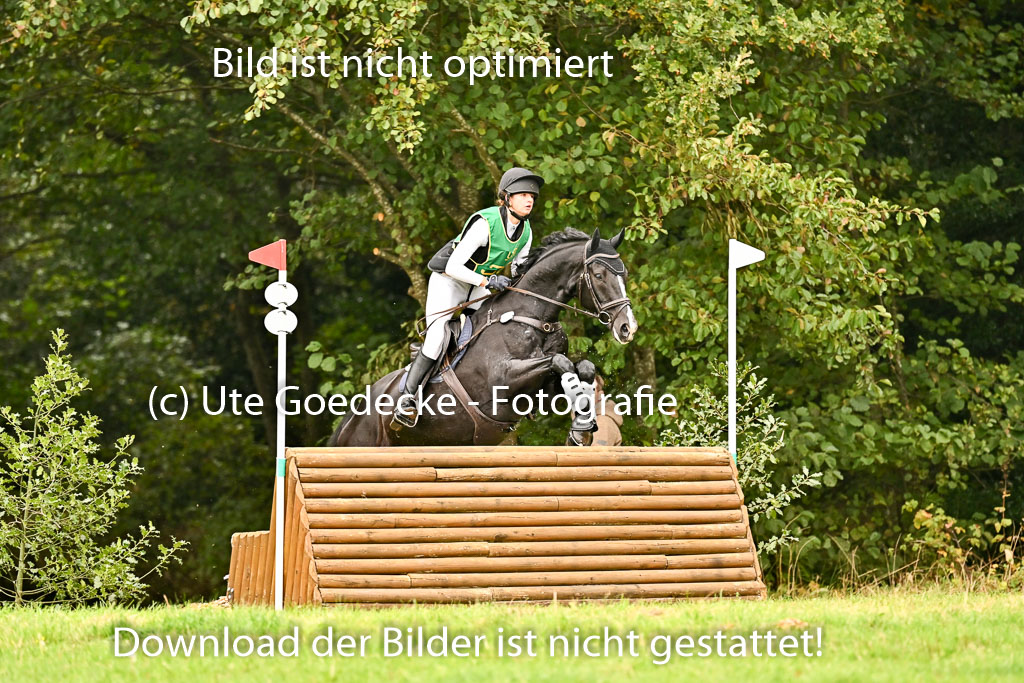 9-12.10.2025 Ströhen | Juno Emilia Wilke - Foxcon 