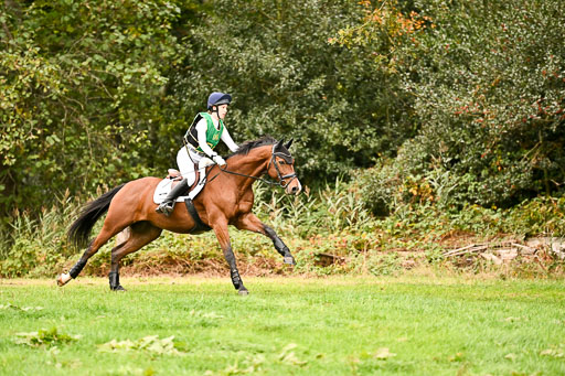 9-12.10.2025 Ströhen | Elisabeth Kelly - Lorado 