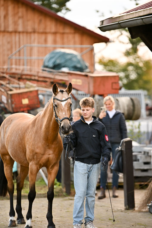 9-12.10.2025 Ströhen | Jakob Suttorp - Carlotta _22 