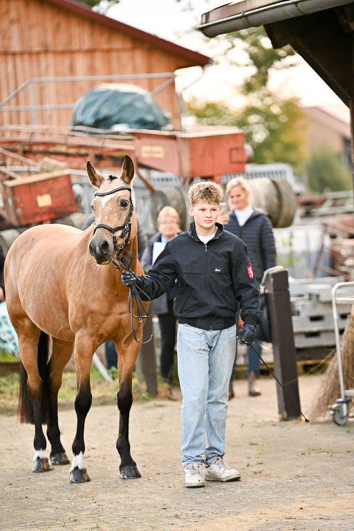 9-12.10.2025 Ströhen | Jakob Suttorp - Carlotta _23 