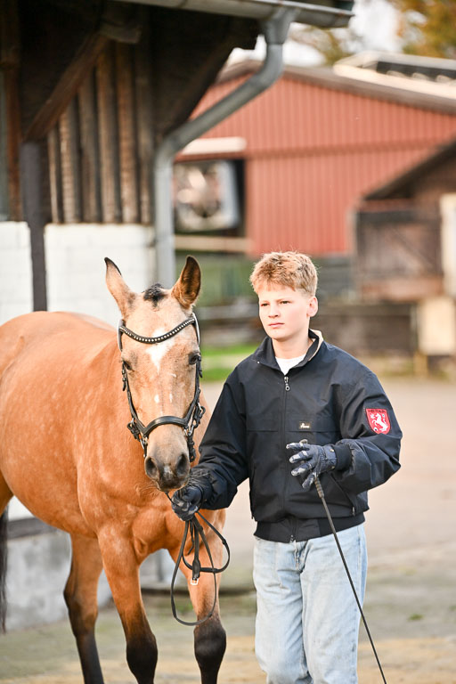 9-12.10.2025 Ströhen | Jakob Suttorp - Carlotta _24 