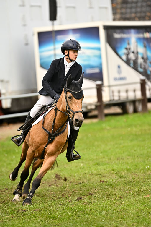 9-12.10.2025 Ströhen | Jakob Suttorp - Carlotta _27 