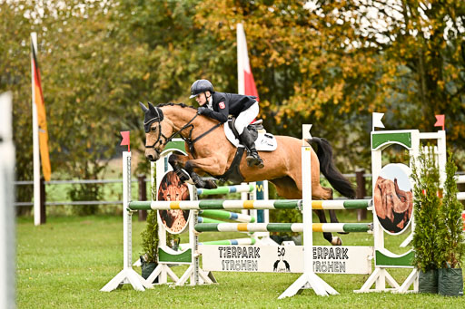 9-12.10.2025 Ströhen | Jakob Suttorp - Carlotta _32 