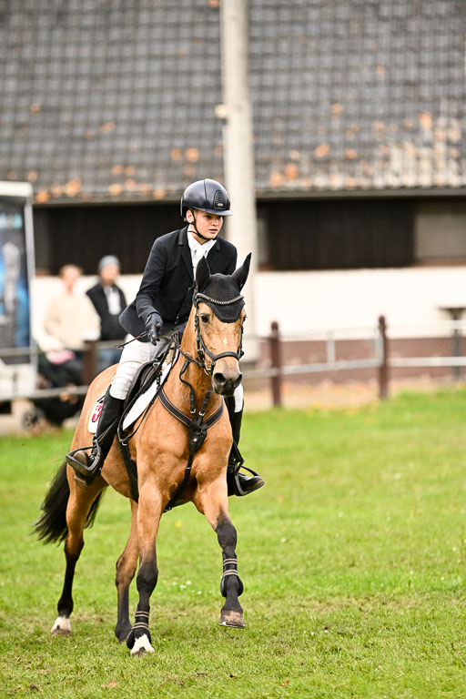 9-12.10.2025 Ströhen | Jakob Suttorp - Carlotta _33 