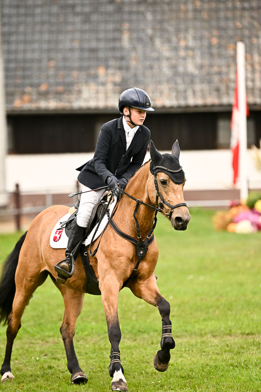 9-12.10.2025 Ströhen | Jakob Suttorp - Carlotta _34 