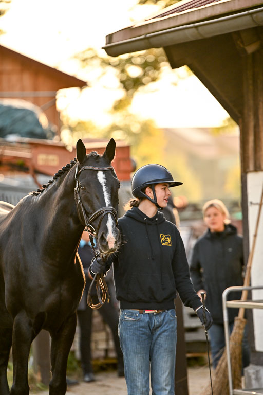 9-12.10.2025 Ströhen | Juno Emilia Wilke - Foxcon _21 