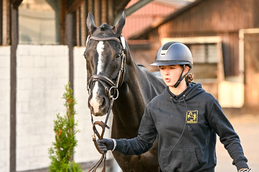 9-12.10.2025 Ströhen | Juno Emilia Wilke - Foxcon _24 