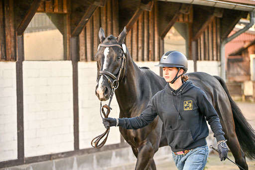 9-12.10.2025 Ströhen | Juno Emilia Wilke - Foxcon _25 