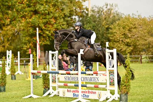 9-12.10.2025 Ströhen | Juno Emilia Wilke - Foxcon _33 