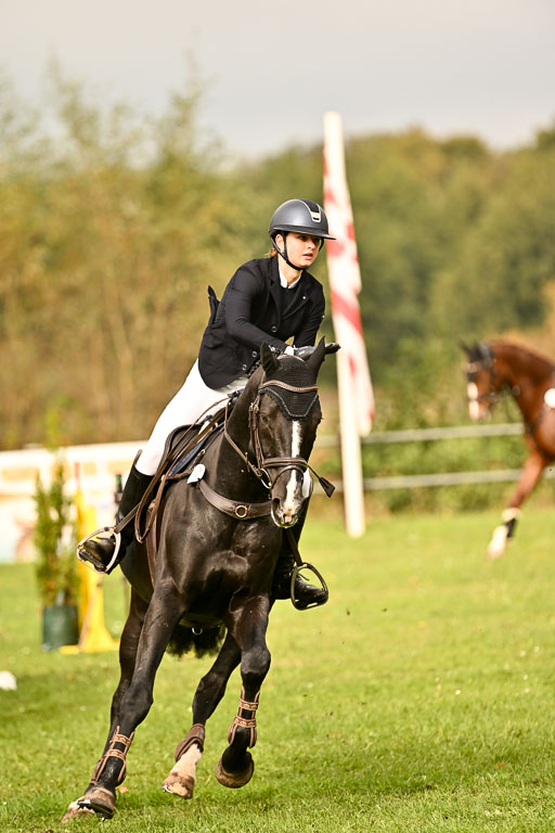 9-12.10.2025 Ströhen | Juno Emilia Wilke - Foxcon _37 