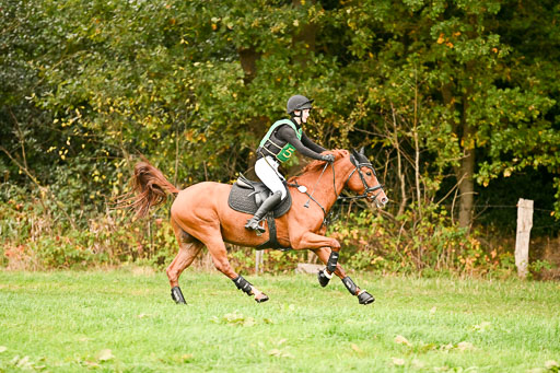 9-12.10.2025 Ströhen | Lenja Reitmann - Konstantin van Orchid_04 